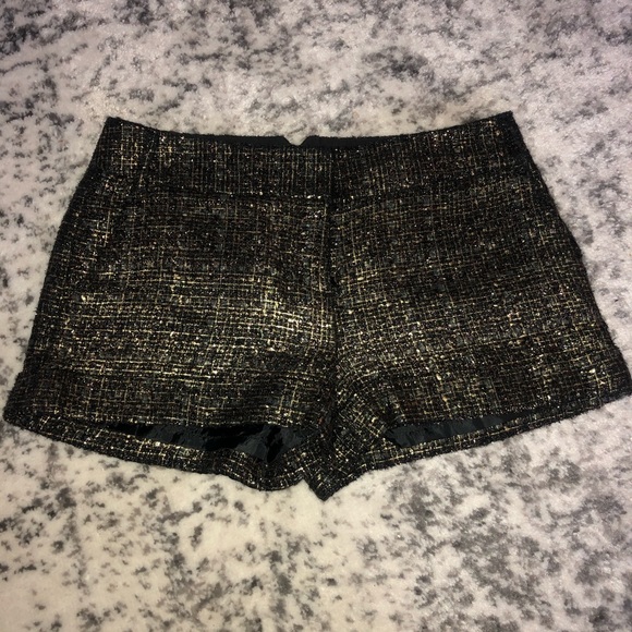 Express Pants - Express Gold & Black Shorts